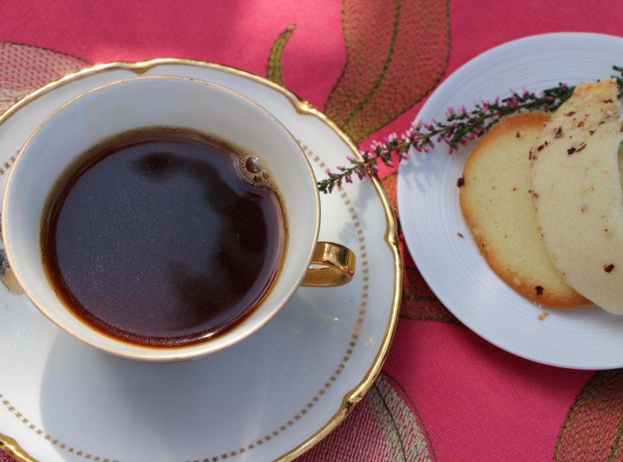 Bed and Breakfast Grange Bleuet Aubeterre-sur-Dronne Zewnętrze zdjęcie